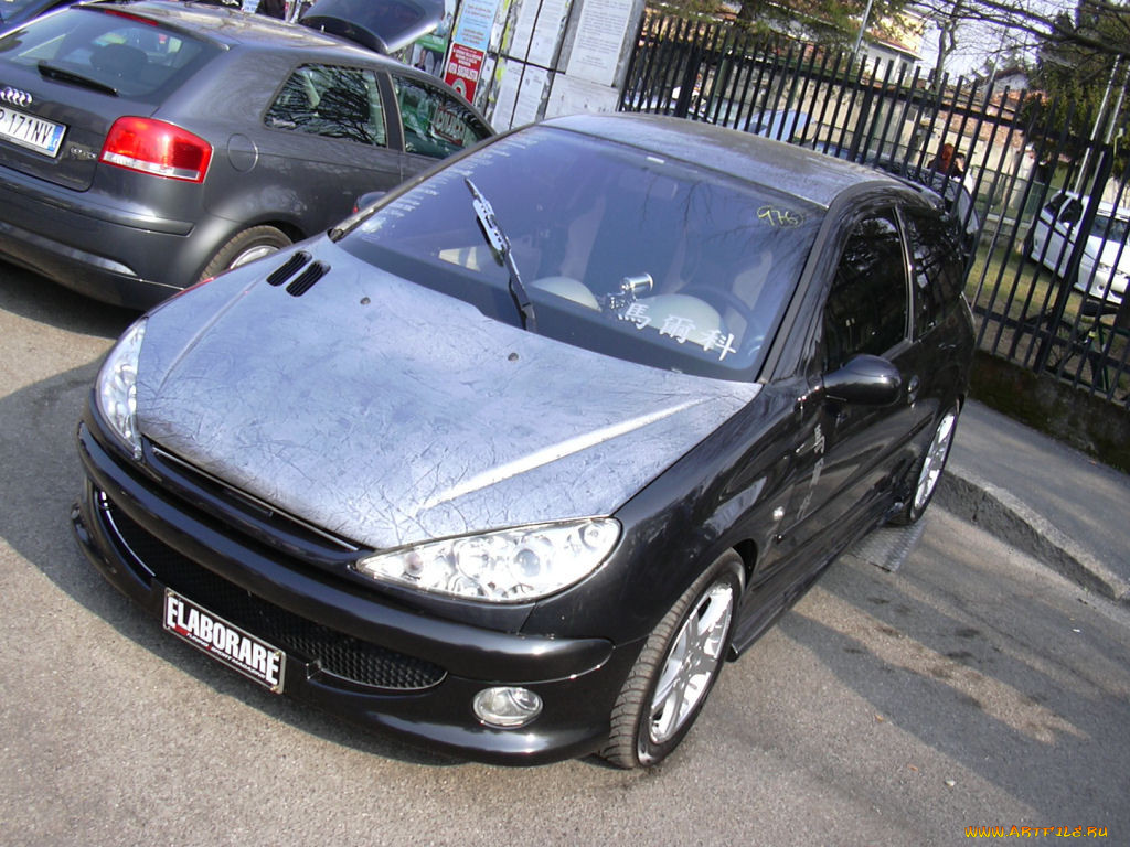 peugeot, 206, 